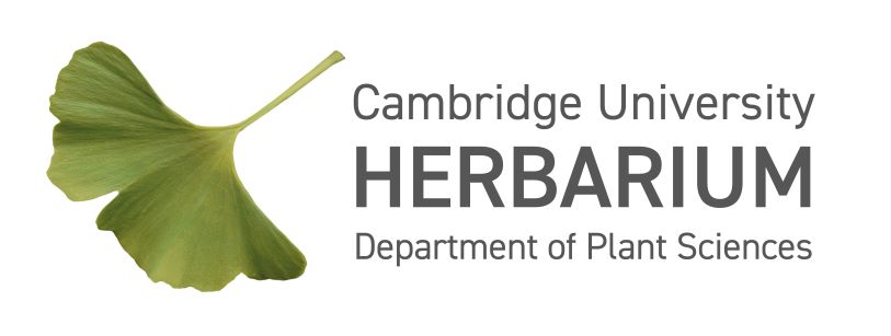 CU herbarium