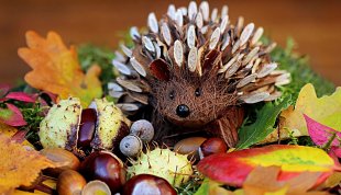 Museum Minis: Hibernation