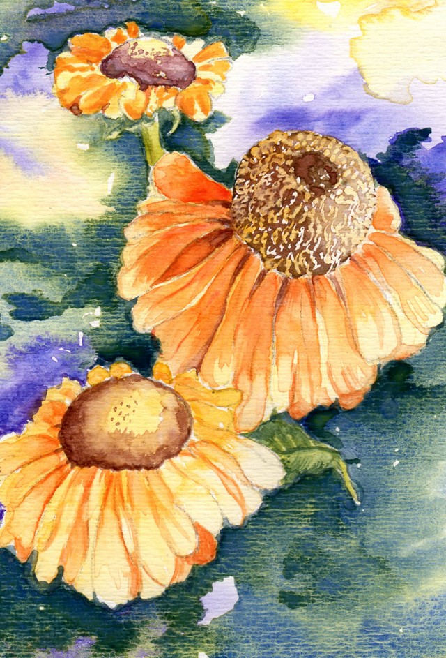 Painting of flowers in watercolour