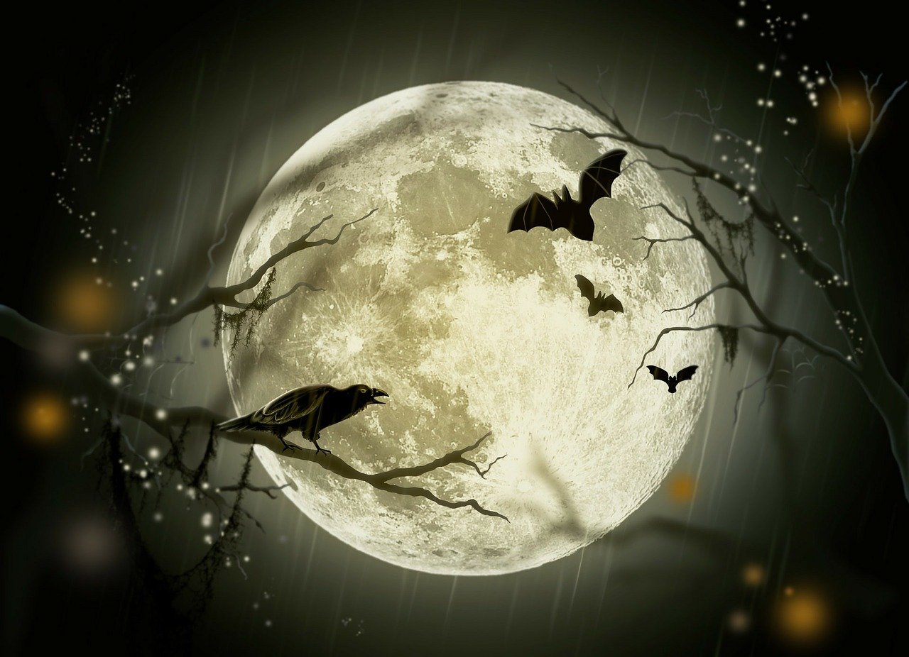 Wisbech Museum's seasonal half-term event After Dark at the Museum is back again this year by popular request.
